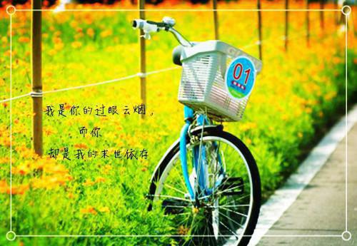 牧景苏虞免费阅读 牧景苏虞最新章节目录