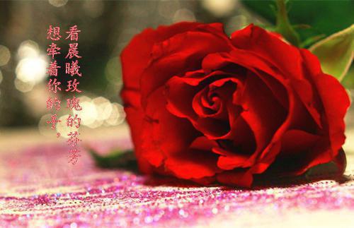 温念溪傅司聿免费小说-温念溪傅司聿小说完整版阅读