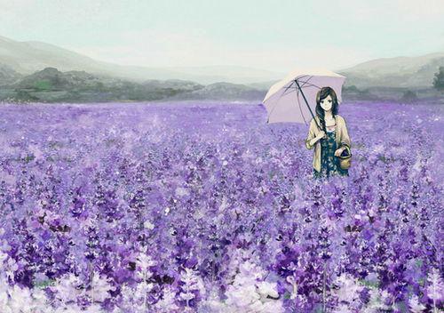 许京月秦骏泽全文最新章节正版小说免费阅读