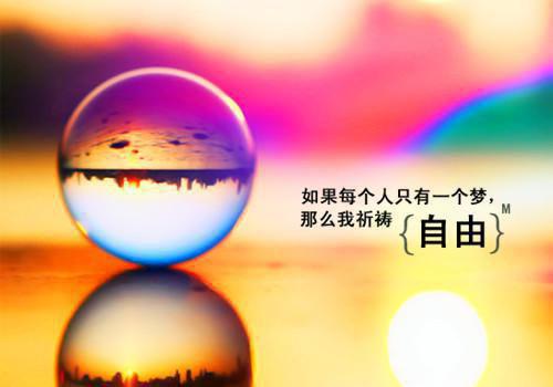 林诗晨周封尘小说名字 林诗晨周封尘全文免费阅读