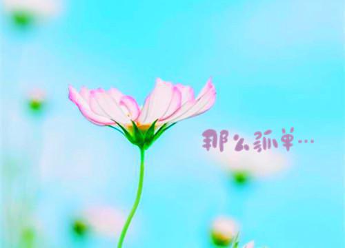 顾千澈乔言心txt（春迟冬来续：续集+完结篇）全文番外免费在线阅读_顾千澈乔言心最新章节列表（春迟冬来续：续集+完结篇）