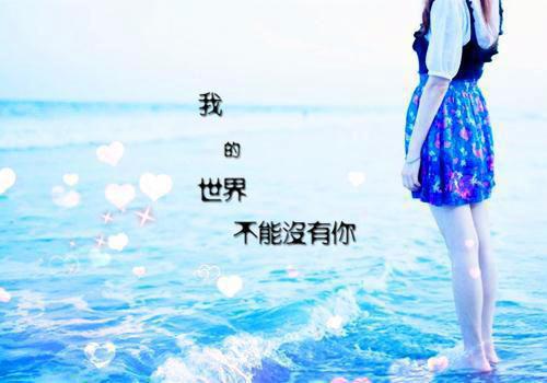 魏泽宋念念免费小说 魏泽宋念念在线阅读