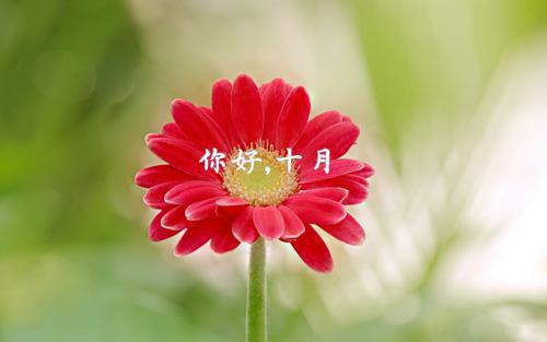碎骨之殇吴敏妍叶警官小说免费试读