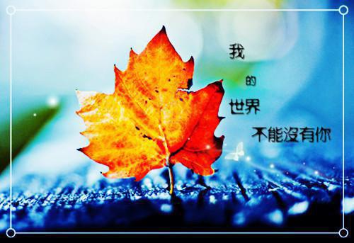 寂悦悦墨宸白思雪（月照深宫宦宠结局+番外）全文免费阅读无弹窗大结局_(寂悦悦墨宸白思雪)寂悦悦墨宸白思雪最新章节列表（月照深宫宦宠结局+番外）