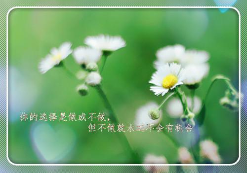 江绾许肆全文阅读 江绾许肆小说最新章节