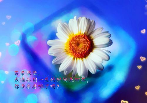 溪南程易小说 溪南程易完整版免费阅读
