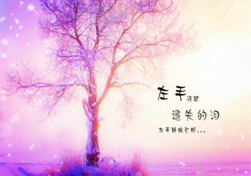霍太太她不拘小节小说 霍宴莳薇季云在线阅读