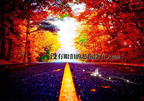 林霜桑暮景免费阅读第1章 林霜桑暮景大结局