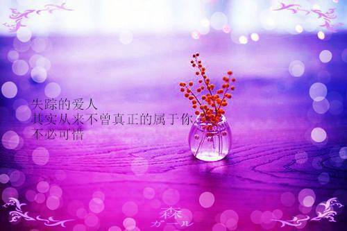 琼曳沈褚风小说最新章节 琼曳沈褚风免费阅读