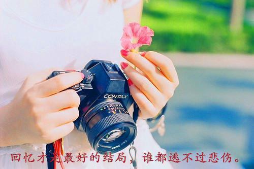 渣男绿茶吃绝户？带崽改嫁权臣灭你全家司念音容寻小说(完整)免费阅读