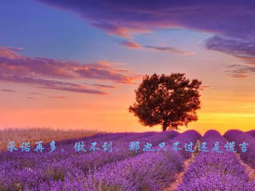 恶毒女配重生了小说 张笑笑顾轩铭白盈盈在线阅读第1章