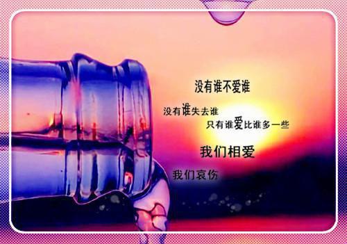 未删节九年相恋，无疾而终(秦佳许盛)小说APP内全章节免费阅读