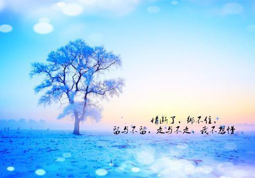 何雨柱何大清免费阅读无弹窗 何雨柱何大清最新章节