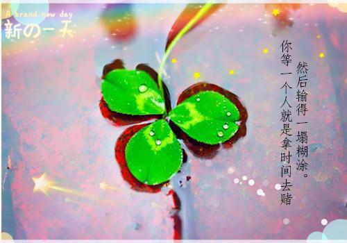 魏昭崔九免费小说 魏昭崔九全文阅读目录