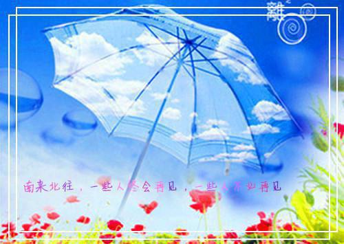 (抖音小说)马蓉蓉陈霆免费阅读第四章