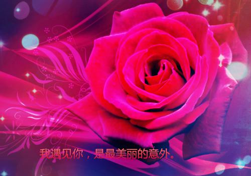 (番外)+(结局)尹落笙贺清珩余紫楹（我寻你千百度：完结+结局+番外）全文免费阅读无弹窗大结局_(尹落笙贺清珩余紫楹)最新章节列表（我寻你千百度：完结+结局+番外）