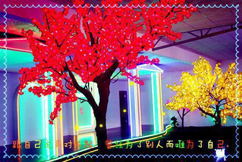 许嘉瑜乔音什么小说 许嘉瑜乔音全文免费阅读