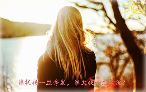 江文文秦放免费小说 江文文秦放全文阅读目录