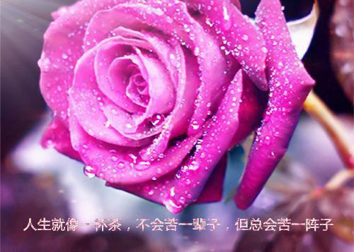林曼傅靳年主角的书 我和你的笑忘书全文阅读免费