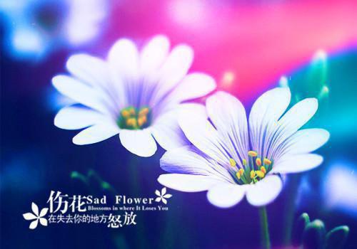 许见夏谢禄安小说最新章节 许见夏谢禄安免费阅读