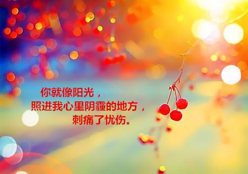 陶舒颜穆云舟小说 陶舒颜穆云舟完整版免费阅读