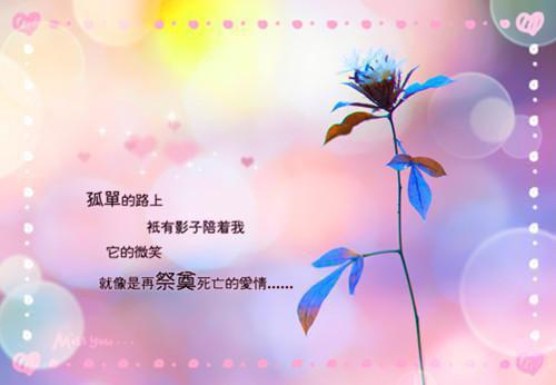 姜知玥沈砚最后结局 姜知玥沈砚完结版免费阅读