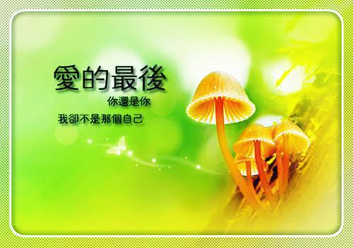 温锦周嘉林是哪部小说的主角 温锦周嘉林全文阅读