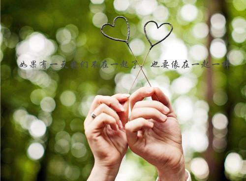 贺梦晴陈斯年小说名字 贺梦晴陈斯年全文免费阅读