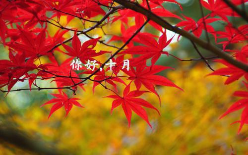 农家小渔女：我靠赶海赚麻了花妮（农家小渔女：我靠赶海赚麻了花妮）小说全文免费阅读正版无弹窗_农家小渔女：我靠赶海赚麻了花妮小说免费阅读全文无弹窗