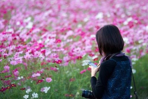 花迟重逢南晚梁景安全文在线南晚梁景安读无弹窗大结局_（南晚梁景安花迟重逢小说）南晚梁景安最新章节列表（南晚梁景安）