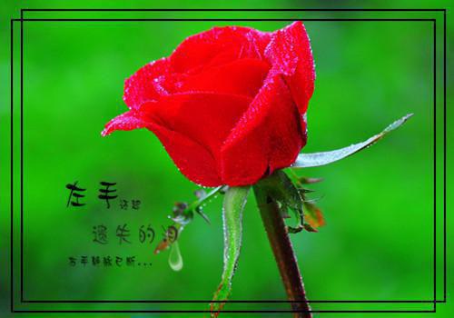 (热推新书)《司霁清宋雨薇》无弹窗大结局（司霁清宋雨薇）-抖音热推司霁清宋雨薇无弹窗阅读最新章节列表