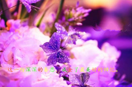 嫡女嫁入王府后，白莲花处处作祟全文小说全章节目录免费阅读