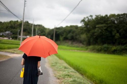 叶繁夏卉全文免费阅读（蜜雪吃瓜小说）全文免费叶繁夏卉读无弹窗大结局_(叶繁夏卉蜜雪吃瓜小说免费叶繁夏卉读全文大结局)最新章节列表（叶繁夏卉）